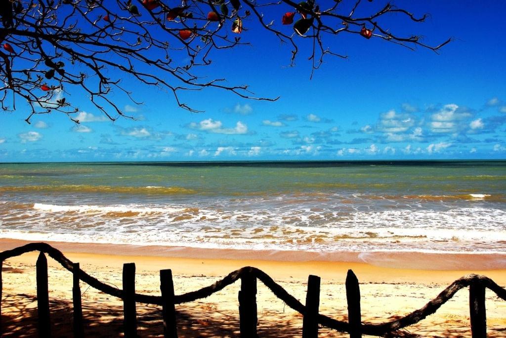 Вілла Paraiso Da Falesia Em Cumuruxatiba Com Vista Excepcional Para O Mar Екстер'єр фото